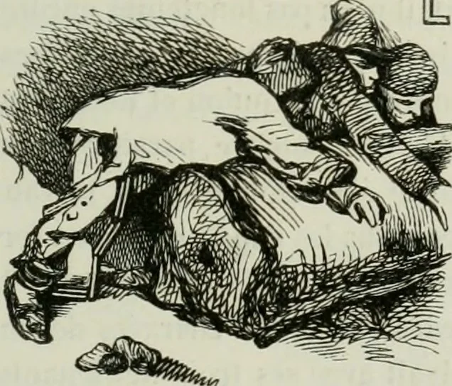 An illustration from Les français peints par eux-mêmes : encyclopédie morale du dix-neuvième siècle, 1840, leaf 96