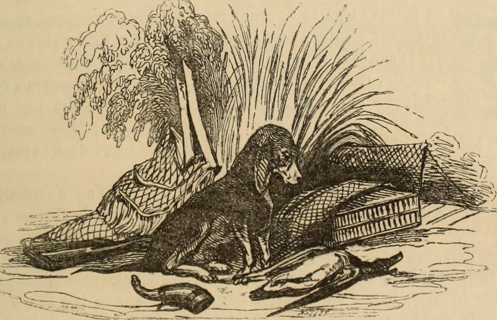 An illustration from Les Français peints par eux-mêmes : encyclopédie morale du dix-neuvième siècle. --, 1841, leaf 258