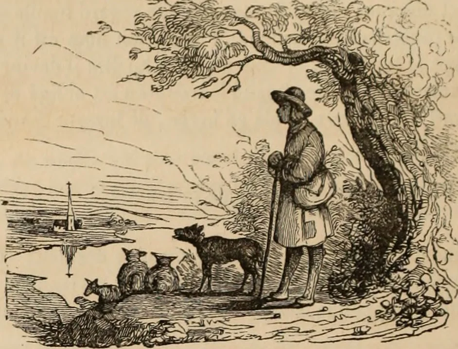 An illustration from Les Français peints par eux-mêmes : encyclopédie morale du dix-neuvième siècle. --, 1841, leaf 263