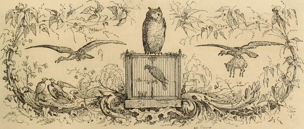 An illustration from Les Français peints par eux-mêmes : encyclopédie morale du dix-neuvième siècle. --, 1841, leaf 334