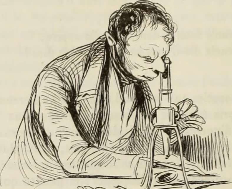 An illustration from Les Français peints par eux-mêmes : encyclopédie morale du dix-neuvième siècle. --, 1841, leaf 359