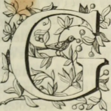 An illustration from Les Français peints par eux-mêmes : encyclopédie morale du dix-neuvième siècle. --, 1841, leaf 472