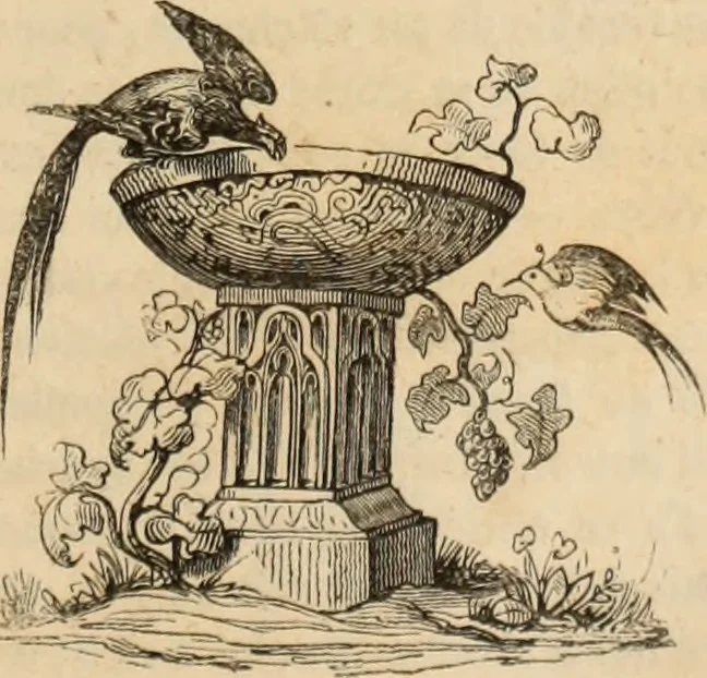 An illustration from Les Français peints par eux-mêmes : encyclopédie morale du dix-neuvième siècle. --, 1841, leaf 64