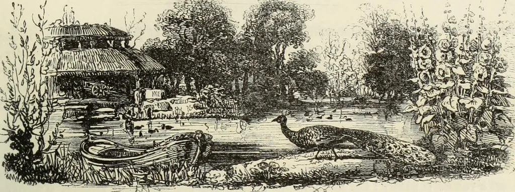 An illustration from Les Français peints par eux-mêmes : encyclopédie morale du dix-neuvième siècle. --, 1841, leaf 78