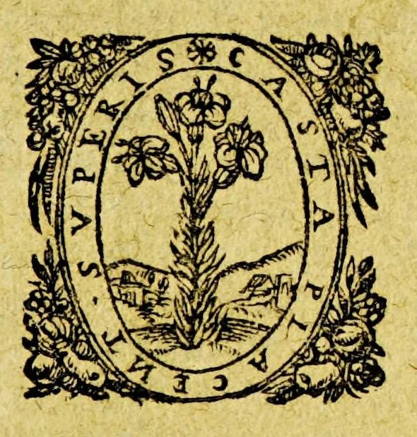 An illustration from Les fruicts de la mission des reuerends peres capucins en l'isle de Maragnan. : Comment la croix fut plantée, & la terre beniste, dequoy s'est ensuiuy la conuersion de plusieurs indiens sauuages Topinamba, qui ont receu le baptesme par lesdits rr. pp. capucins, 1614, leaf 5
