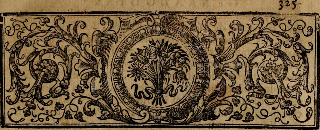 An illustration from Les généaologies historiques des rois, empereurs, &c : et de toutes les maisons souveraines qui ont subsisté jusqu'à présent, exposées dans les cartes généalogiques tirées des meilleurs auteurs, avec des explications historiques et chronologiques .., 1736, leaf 346