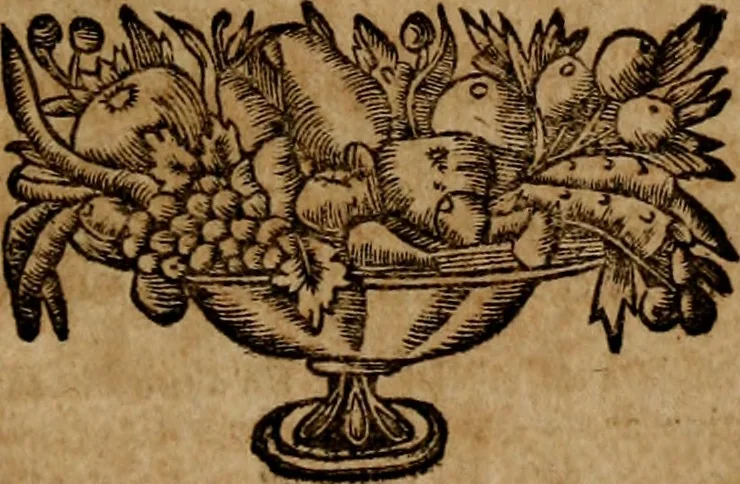 An illustration from Les généaologies historiques des rois, empereurs, &c : et de toutes les maisons souveraines qui ont subsisté jusqu'à présent, exposées dans les cartes généalogiques tirées des meilleurs auteurs, avec des explications historiques et chronologiques .., 1736, leaf 518