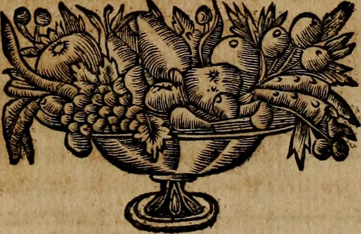 An illustration from Les généaologies historiques des rois, empereurs, &c : et de toutes les maisons souveraines qui ont subsisté jusqu'à présent, exposées dans les cartes généalogiques tirées des meilleurs auteurs, avec des explications historiques et chronologiques .., 1736, leaf 604