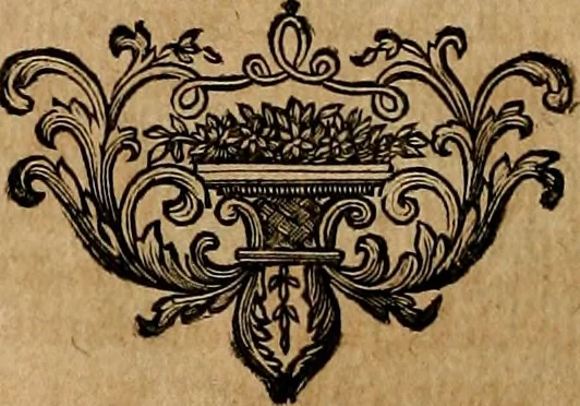 An illustration from Les généaologies historiques des rois, empereurs, &c : et de toutes les maisons souveraines qui ont subsisté jusqu'à présent, exposées dans les cartes généalogiques tirées des meilleurs auteurs, avec des explications historiques et chronologiques .., 1736, leaf 217