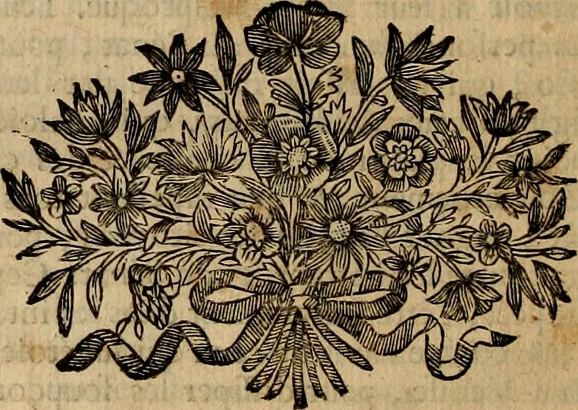 An illustration from Les généaologies historiques des rois, empereurs, &c : et de toutes les maisons souveraines qui ont subsisté jusqu'à présent, exposées dans les cartes généalogiques tirées des meilleurs auteurs, avec des explications historiques et chronologiques .., 1736, leaf 515