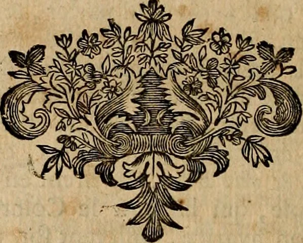 An illustration from Les généaologies historiques des rois, empereurs, &c : et de toutes les maisons souveraines qui ont subsisté jusqu'à présent, exposées dans les cartes généalogiques tirées des meilleurs auteurs, avec des explications historiques et chronologiques .., 1736, leaf 557