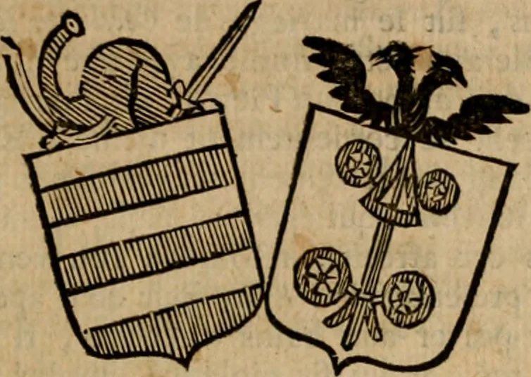 An illustration from Les généaologies historiques des rois, empereurs, &c : et de toutes les maisons souveraines qui ont subsisté jusqu'à présent, exposées dans les cartes généalogiques tirées des meilleurs auteurs, avec des explications historiques et chronologiques .., 1736, leaf 558
