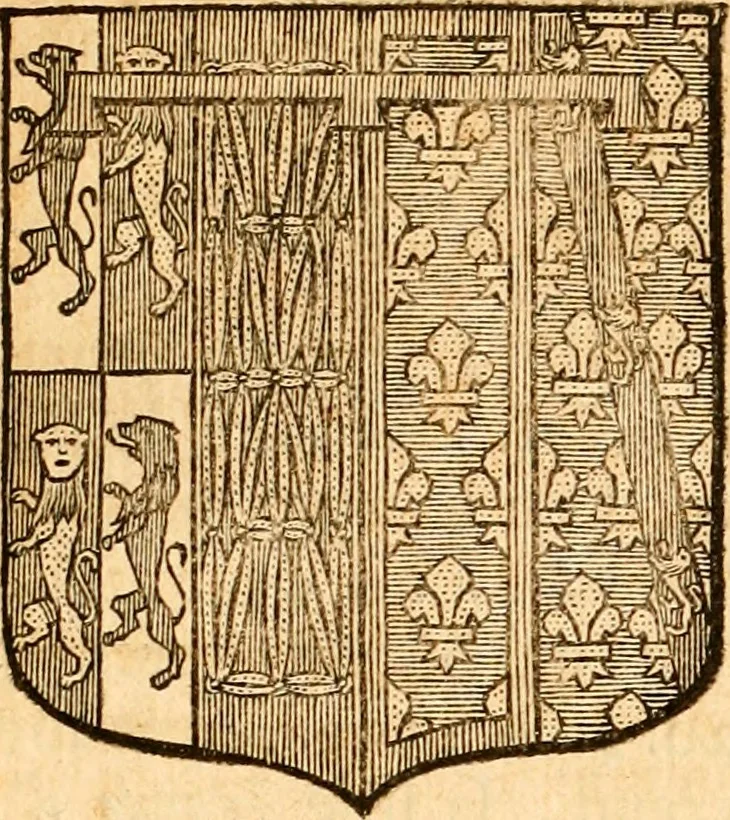 An illustration from Les généaologies historiques des rois, empereurs, &c : et de toutes les maisons souveraines qui ont subsisté jusqu'à présent, exposées dans les cartes généalogiques tirées des meilleurs auteurs, avec des explications historiques et chronologiques .., 1736, leaf 100