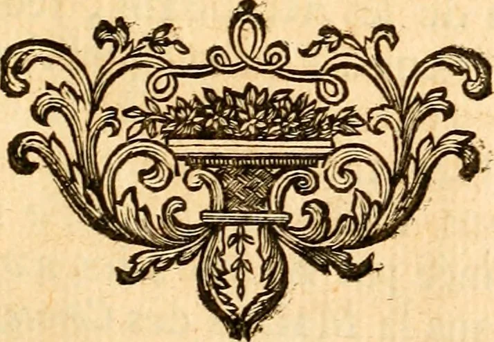 An illustration from Les généaologies historiques des rois, empereurs, &c : et de toutes les maisons souveraines qui ont subsisté jusqu'à présent, exposées dans les cartes généalogiques tirées des meilleurs auteurs, avec des explications historiques et chronologiques .., 1736, leaf 110