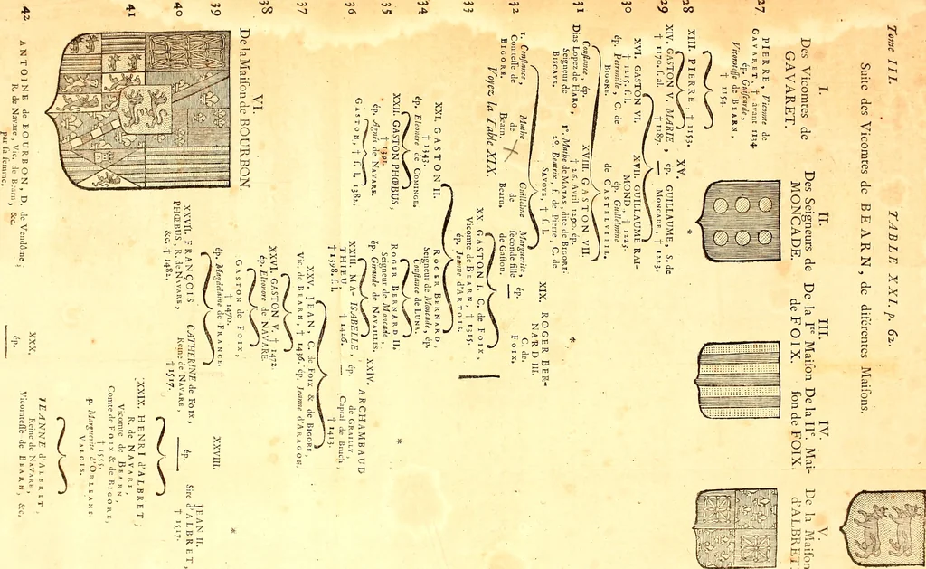 An illustration from Les généaologies historiques des rois, empereurs, &c : et de toutes les maisons souveraines qui ont subsisté jusqu'à présent, exposées dans les cartes généalogiques tirées des meilleurs auteurs, avec des explications historiques et chronologiques .., 1736, leaf 140