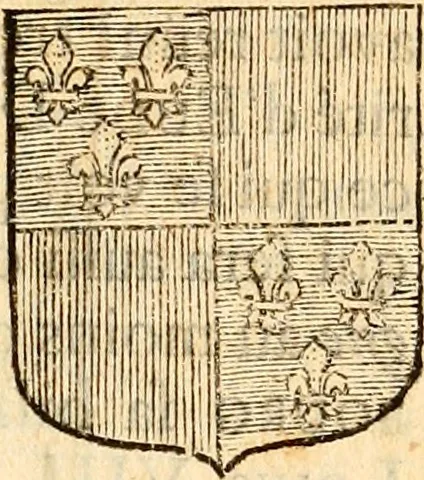 An illustration from Les généaologies historiques des rois, empereurs, &c : et de toutes les maisons souveraines qui ont subsisté jusqu'à présent, exposées dans les cartes généalogiques tirées des meilleurs auteurs, avec des explications historiques et chronologiques .., 1736, leaf 146