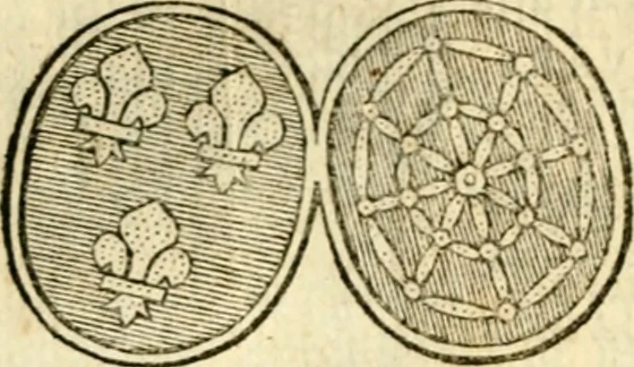 An illustration from Les généaologies historiques des rois, empereurs, &c : et de toutes les maisons souveraines qui ont subsisté jusqu'à présent, exposées dans les cartes généalogiques tirées des meilleurs auteurs, avec des explications historiques et chronologiques .., 1736, leaf 147