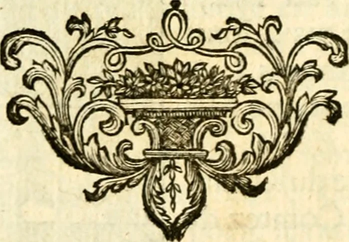 An illustration from Les généaologies historiques des rois, empereurs, &c : et de toutes les maisons souveraines qui ont subsisté jusqu'à présent, exposées dans les cartes généalogiques tirées des meilleurs auteurs, avec des explications historiques et chronologiques .., 1736, leaf 147