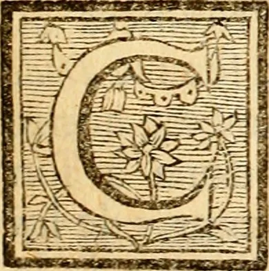 An illustration from Les généaologies historiques des rois, empereurs, &c : et de toutes les maisons souveraines qui ont subsisté jusqu'à présent, exposées dans les cartes généalogiques tirées des meilleurs auteurs, avec des explications historiques et chronologiques .., 1736, leaf 152
