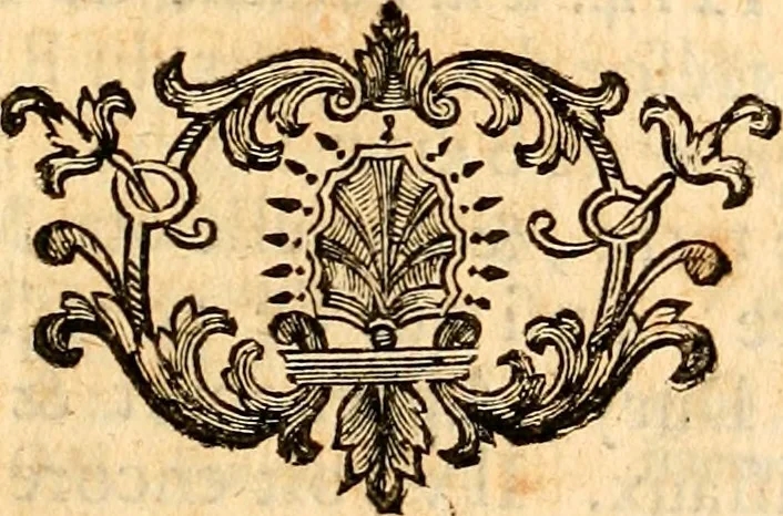 An illustration from Les généaologies historiques des rois, empereurs, &c : et de toutes les maisons souveraines qui ont subsisté jusqu'à présent, exposées dans les cartes généalogiques tirées des meilleurs auteurs, avec des explications historiques et chronologiques .., 1736, leaf 226