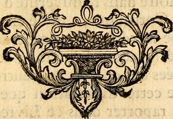 An illustration from Les généaologies historiques des rois, empereurs, &c : et de toutes les maisons souveraines qui ont subsisté jusqu'à présent, exposées dans les cartes généalogiques tirées des meilleurs auteurs, avec des explications historiques et chronologiques .., 1736, leaf 234