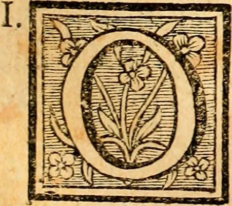 An illustration from Les généaologies historiques des rois, empereurs, &c : et de toutes les maisons souveraines qui ont subsisté jusqu'à présent, exposées dans les cartes généalogiques tirées des meilleurs auteurs, avec des explications historiques et chronologiques .., 1736, leaf 254
