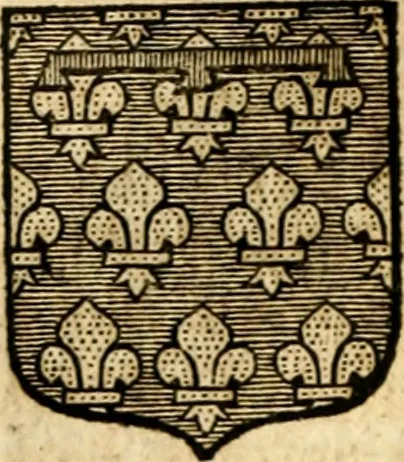 An illustration from Les généaologies historiques des rois, empereurs, &c : et de toutes les maisons souveraines qui ont subsisté jusqu'à présent, exposées dans les cartes généalogiques tirées des meilleurs auteurs, avec des explications historiques et chronologiques .., 1736, leaf 301