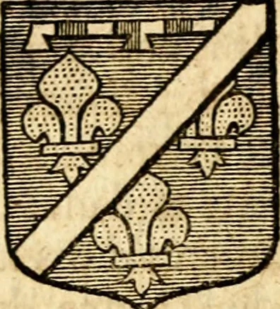 An illustration from Les généaologies historiques des rois, empereurs, &c : et de toutes les maisons souveraines qui ont subsisté jusqu'à présent, exposées dans les cartes généalogiques tirées des meilleurs auteurs, avec des explications historiques et chronologiques .., 1736, leaf 301