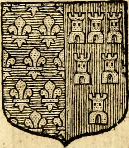 An illustration from Les généaologies historiques des rois, empereurs, &c : et de toutes les maisons souveraines qui ont subsisté jusqu'à présent, exposées dans les cartes généalogiques tirées des meilleurs auteurs, avec des explications historiques et chronologiques .., 1736, leaf 303