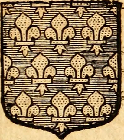 An illustration from Les généaologies historiques des rois, empereurs, &c : et de toutes les maisons souveraines qui ont subsisté jusqu'à présent, exposées dans les cartes généalogiques tirées des meilleurs auteurs, avec des explications historiques et chronologiques .., 1736, leaf 304
