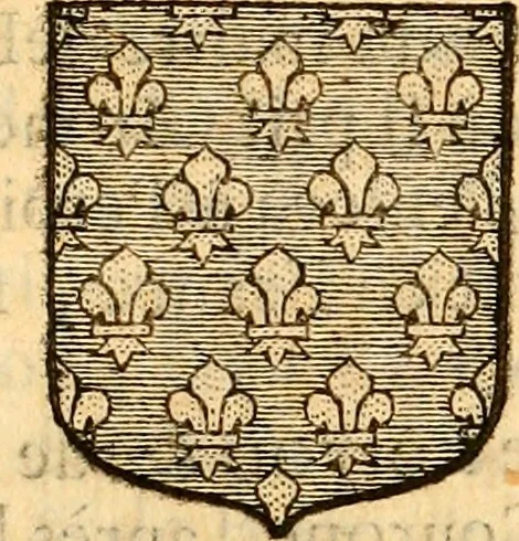 An illustration from Les généaologies historiques des rois, empereurs, &c : et de toutes les maisons souveraines qui ont subsisté jusqu'à présent, exposées dans les cartes généalogiques tirées des meilleurs auteurs, avec des explications historiques et chronologiques .., 1736, leaf 308