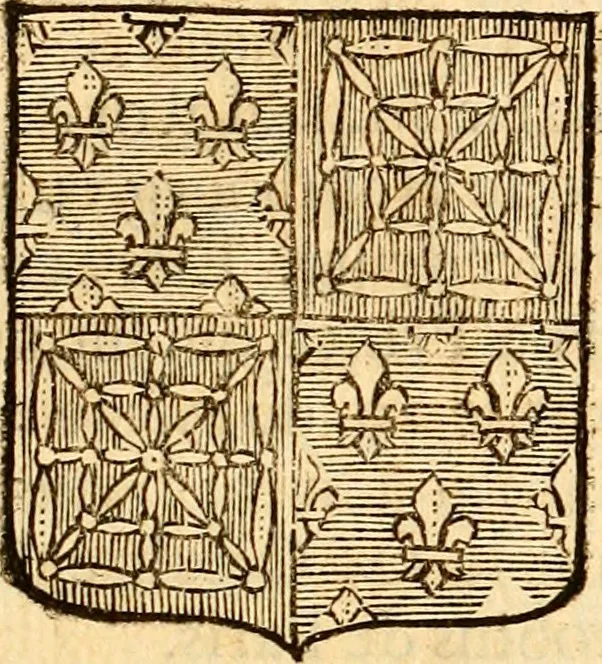 An illustration from Les généaologies historiques des rois, empereurs, &c : et de toutes les maisons souveraines qui ont subsisté jusqu'à présent, exposées dans les cartes généalogiques tirées des meilleurs auteurs, avec des explications historiques et chronologiques .., 1736, leaf 312