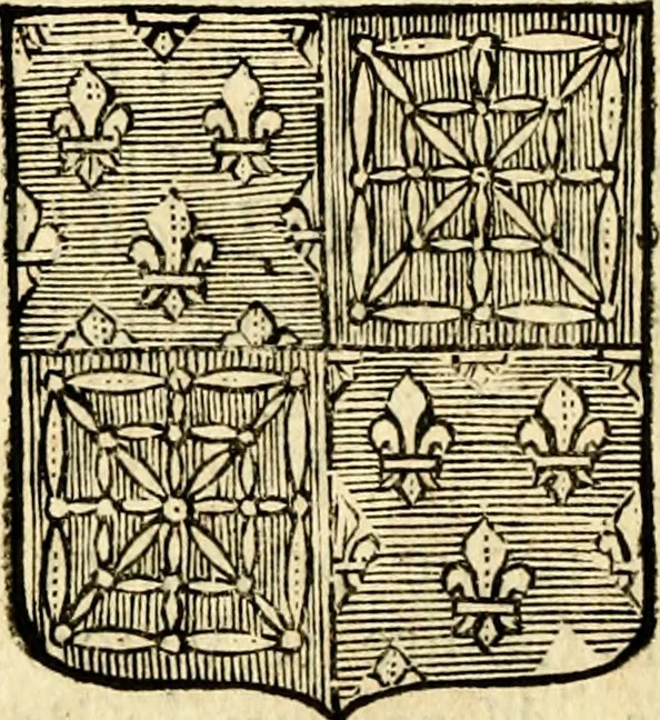 An illustration from Les généaologies historiques des rois, empereurs, &c : et de toutes les maisons souveraines qui ont subsisté jusqu'à présent, exposées dans les cartes généalogiques tirées des meilleurs auteurs, avec des explications historiques et chronologiques .., 1736, leaf 313