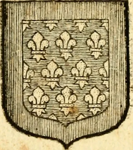 An illustration from Les généaologies historiques des rois, empereurs, &c : et de toutes les maisons souveraines qui ont subsisté jusqu'à présent, exposées dans les cartes généalogiques tirées des meilleurs auteurs, avec des explications historiques et chronologiques .., 1736, leaf 317