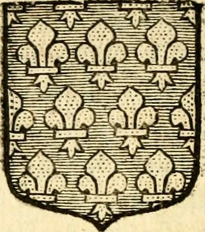 An illustration from Les généaologies historiques des rois, empereurs, &c : et de toutes les maisons souveraines qui ont subsisté jusqu'à présent, exposées dans les cartes généalogiques tirées des meilleurs auteurs, avec des explications historiques et chronologiques .., 1736, leaf 319