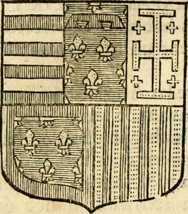 An illustration from Les généaologies historiques des rois, empereurs, &c : et de toutes les maisons souveraines qui ont subsisté jusqu'à présent, exposées dans les cartes généalogiques tirées des meilleurs auteurs, avec des explications historiques et chronologiques .., 1736, leaf 339