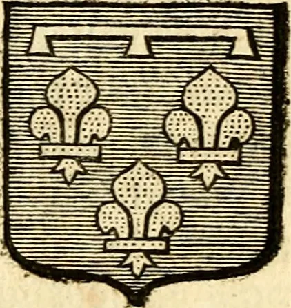 An illustration from Les généaologies historiques des rois, empereurs, &c : et de toutes les maisons souveraines qui ont subsisté jusqu'à présent, exposées dans les cartes généalogiques tirées des meilleurs auteurs, avec des explications historiques et chronologiques .., 1736, leaf 349