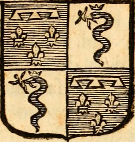An illustration from Les généaologies historiques des rois, empereurs, &c : et de toutes les maisons souveraines qui ont subsisté jusqu'à présent, exposées dans les cartes généalogiques tirées des meilleurs auteurs, avec des explications historiques et chronologiques .., 1736, leaf 356