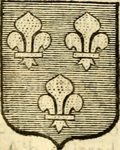An illustration from Les généaologies historiques des rois, empereurs, &c : et de toutes les maisons souveraines qui ont subsisté jusqu'à présent, exposées dans les cartes généalogiques tirées des meilleurs auteurs, avec des explications historiques et chronologiques .., 1736, leaf 357