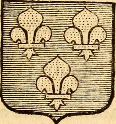 An illustration from Les généaologies historiques des rois, empereurs, &c : et de toutes les maisons souveraines qui ont subsisté jusqu'à présent, exposées dans les cartes généalogiques tirées des meilleurs auteurs, avec des explications historiques et chronologiques .., 1736, leaf 358