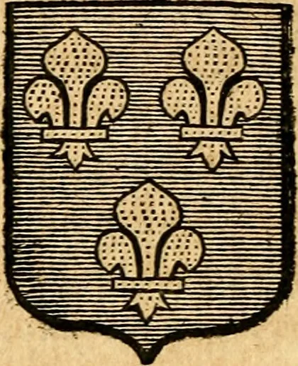 An illustration from Les généaologies historiques des rois, empereurs, &c : et de toutes les maisons souveraines qui ont subsisté jusqu'à présent, exposées dans les cartes généalogiques tirées des meilleurs auteurs, avec des explications historiques et chronologiques .., 1736, leaf 369