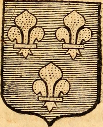 An illustration from Les généaologies historiques des rois, empereurs, &c : et de toutes les maisons souveraines qui ont subsisté jusqu'à présent, exposées dans les cartes généalogiques tirées des meilleurs auteurs, avec des explications historiques et chronologiques .., 1736, leaf 376