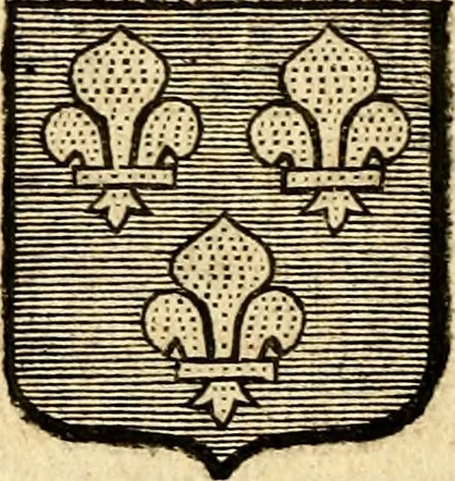 An illustration from Les généaologies historiques des rois, empereurs, &c : et de toutes les maisons souveraines qui ont subsisté jusqu'à présent, exposées dans les cartes généalogiques tirées des meilleurs auteurs, avec des explications historiques et chronologiques .., 1736, leaf 385