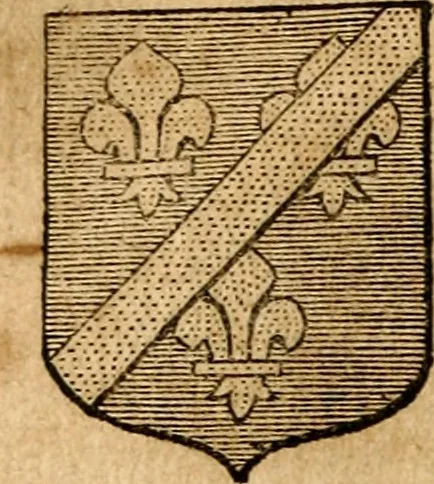 An illustration from Les généaologies historiques des rois, empereurs, &c : et de toutes les maisons souveraines qui ont subsisté jusqu'à présent, exposées dans les cartes généalogiques tirées des meilleurs auteurs, avec des explications historiques et chronologiques .., 1736, leaf 393