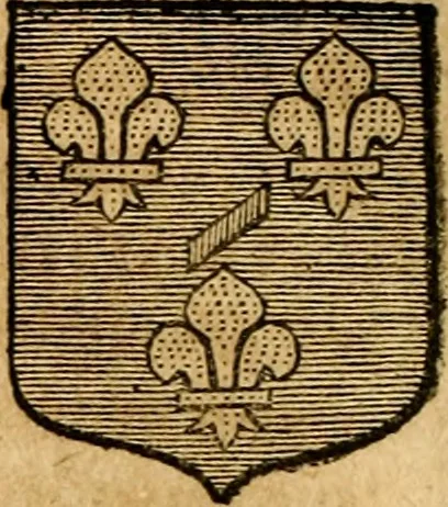 An illustration from Les généaologies historiques des rois, empereurs, &c : et de toutes les maisons souveraines qui ont subsisté jusqu'à présent, exposées dans les cartes généalogiques tirées des meilleurs auteurs, avec des explications historiques et chronologiques .., 1736, leaf 393