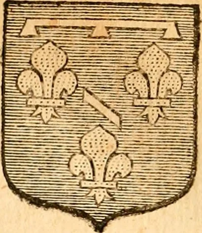 An illustration from Les généaologies historiques des rois, empereurs, &c : et de toutes les maisons souveraines qui ont subsisté jusqu'à présent, exposées dans les cartes généalogiques tirées des meilleurs auteurs, avec des explications historiques et chronologiques .., 1736, leaf 398