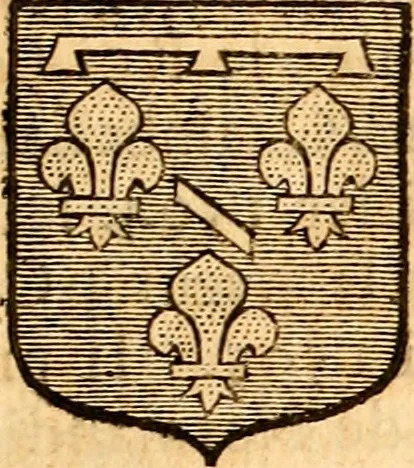 An illustration from Les généaologies historiques des rois, empereurs, &c : et de toutes les maisons souveraines qui ont subsisté jusqu'à présent, exposées dans les cartes généalogiques tirées des meilleurs auteurs, avec des explications historiques et chronologiques .., 1736, leaf 404