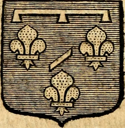 An illustration from Les généaologies historiques des rois, empereurs, &c : et de toutes les maisons souveraines qui ont subsisté jusqu'à présent, exposées dans les cartes généalogiques tirées des meilleurs auteurs, avec des explications historiques et chronologiques .., 1736, leaf 413