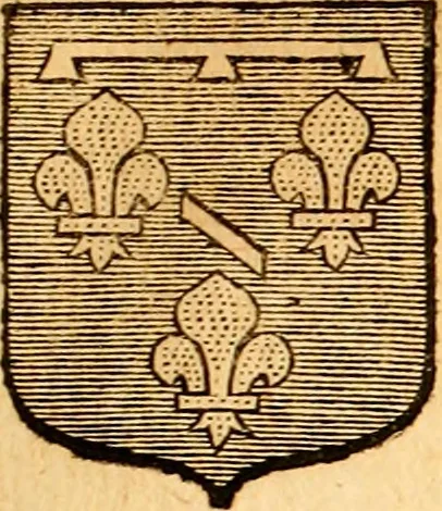 An illustration from Les généaologies historiques des rois, empereurs, &c : et de toutes les maisons souveraines qui ont subsisté jusqu'à présent, exposées dans les cartes généalogiques tirées des meilleurs auteurs, avec des explications historiques et chronologiques .., 1736, leaf 414