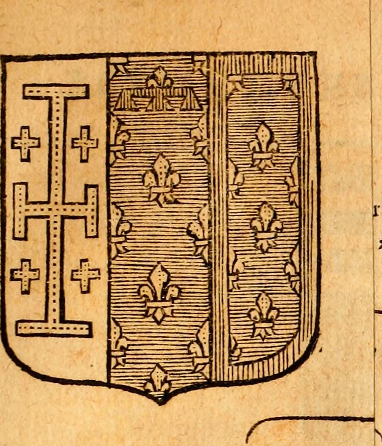An illustration from Les généaologies historiques des rois, empereurs, &c : et de toutes les maisons souveraines qui ont subsisté jusqu'à présent, exposées dans les cartes généalogiques tirées des meilleurs auteurs, avec des explications historiques et chronologiques .., 1736, leaf 420
